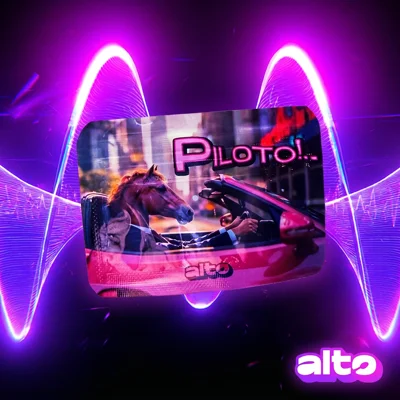 Piloto